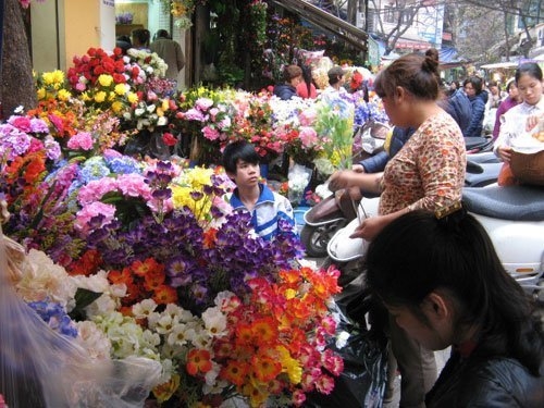 Đến thăm Thiên đường hoa bậc nhất Việt Nam 